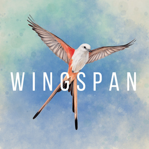 WINGSPAN (КРЫЛЬЯ)