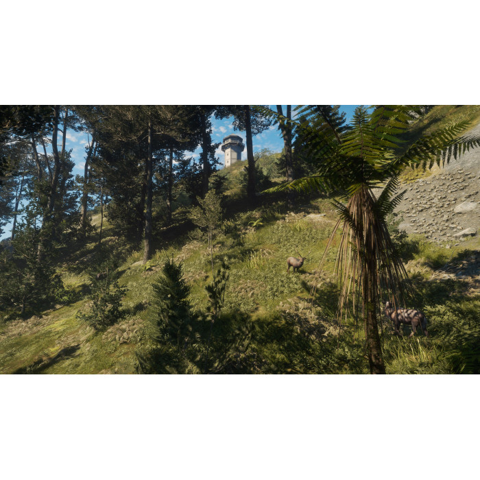 theHunter™ Call of the Wild - Te Awaroa National Park