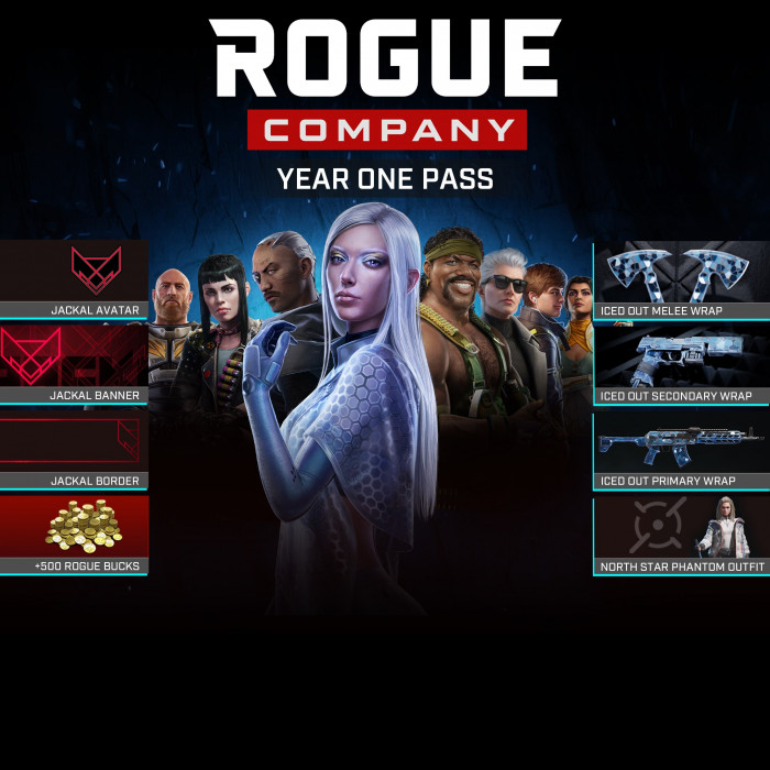 Rogue Company: Пропуск первого года