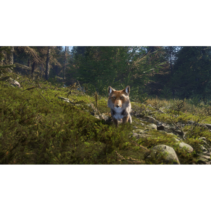 theHunter: Call of the Wild™ - Sundarpatan Nepal Hunting Reserve