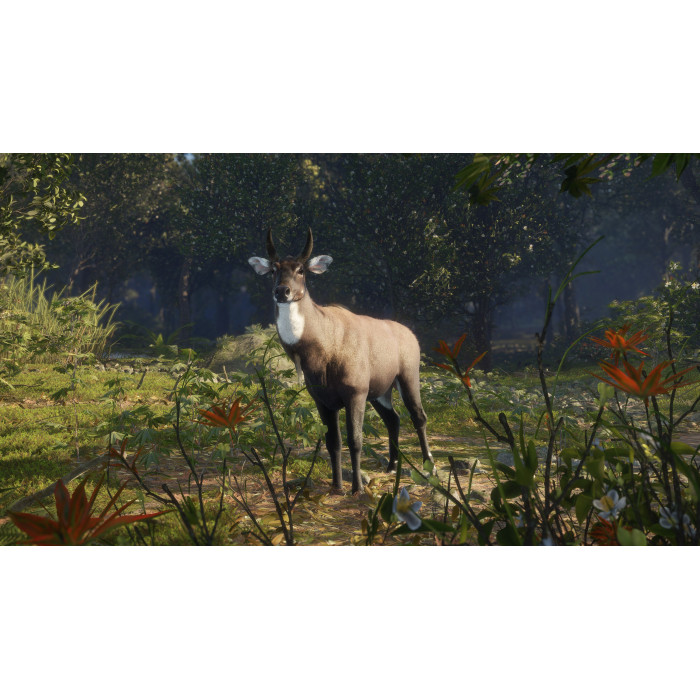 theHunter: Call of the Wild™ - Sundarpatan Nepal Hunting Reserve