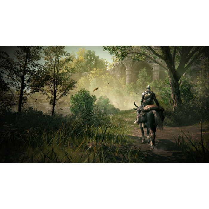 ELDEN RING Shadow of the Erdtree Premium Bundle