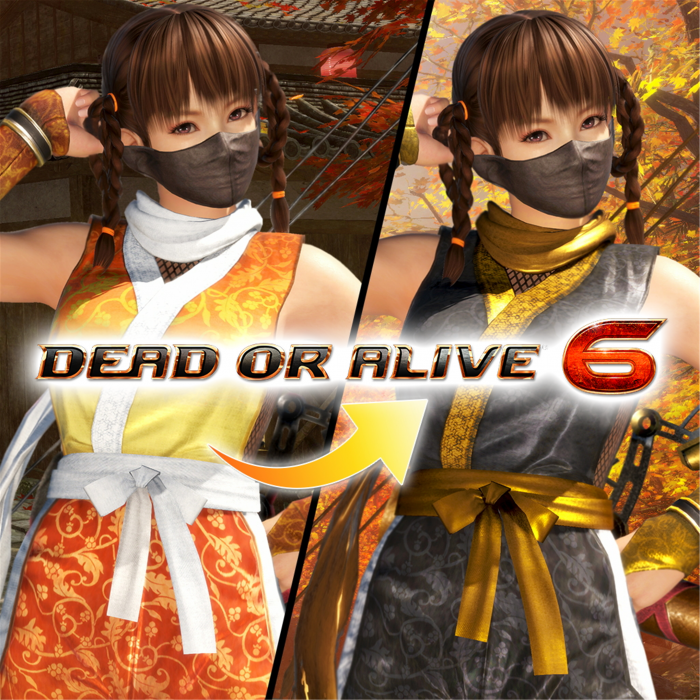 Костюм могучего ниндзя для DOA6 — Лэйфан