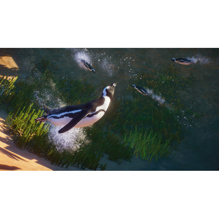 Planet Zoo: набор «Африка»