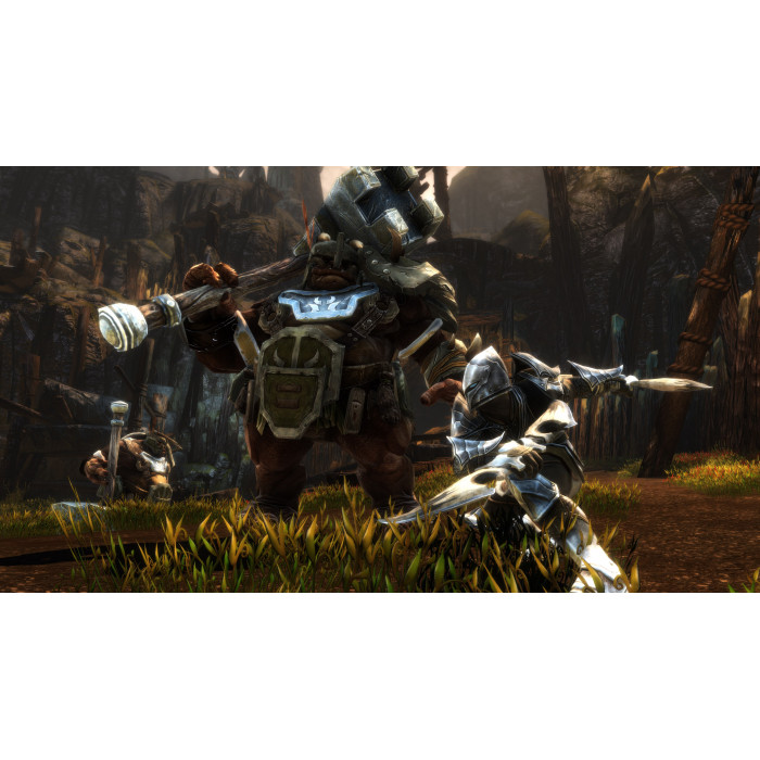 Kingdoms of Amalur: Re-Reckoning FATE Edition