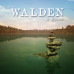 Walden, a game