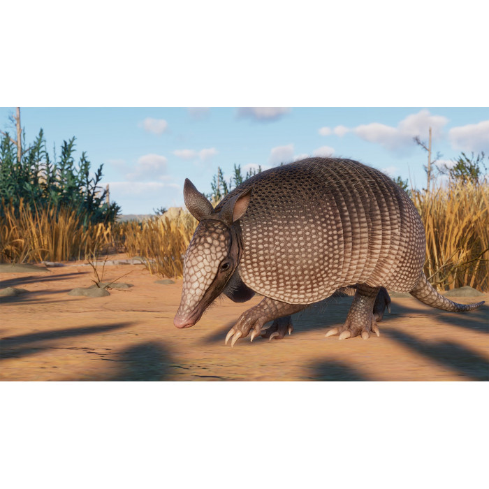 Planet Zoo: набор «Болота»