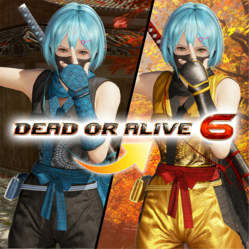 Костюм могучего ниндзя для DOA6 — NiCO