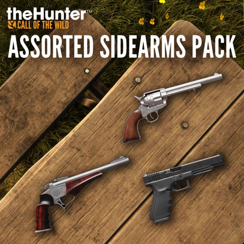 theHunter Call of the Wild™ - Assorted Sidearms Pack