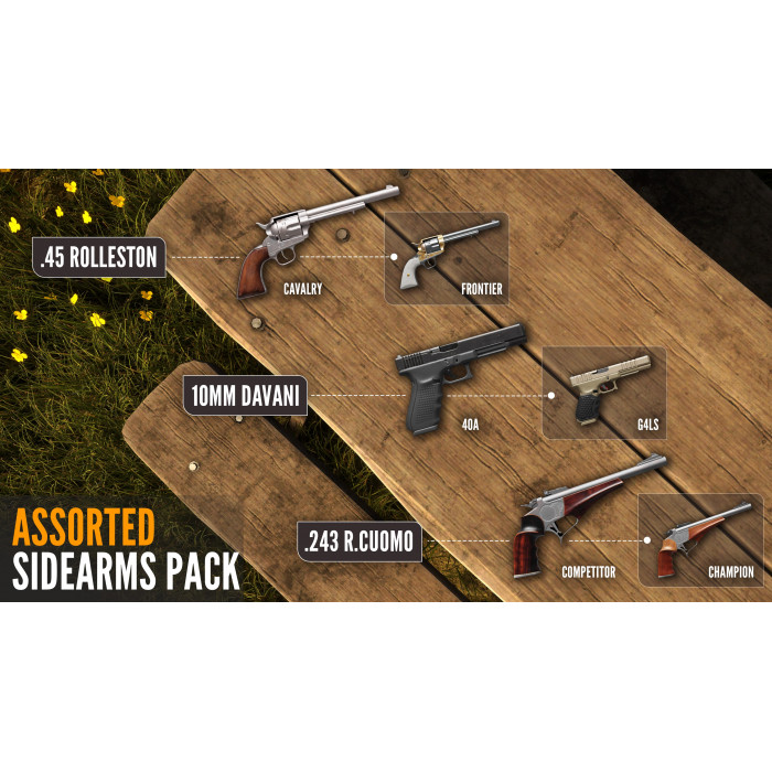 theHunter Call of the Wild™ - Assorted Sidearms Pack