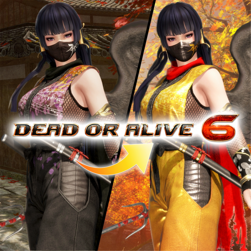 Костюм могучего ниндзя для DOA6 — Нётэнгу