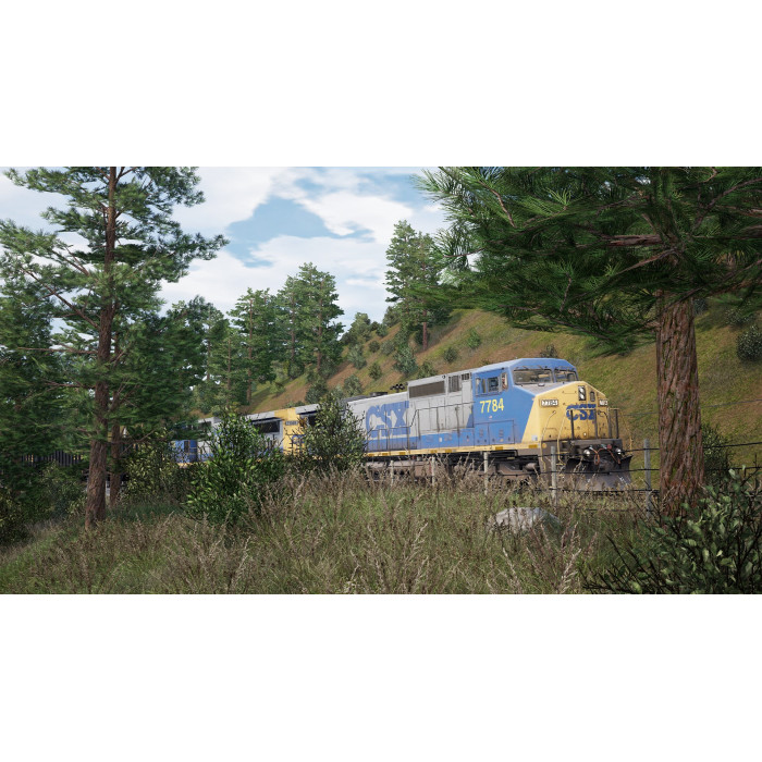 Train Sim World® 4 Compatible: CSX C40-8W