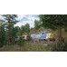 Train Sim World® 4 Compatible: CSX C40-8W