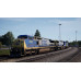 Train Sim World® 4 Compatible: CSX C40-8W