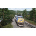 Train Sim World® 4 Compatible: CSX C40-8W