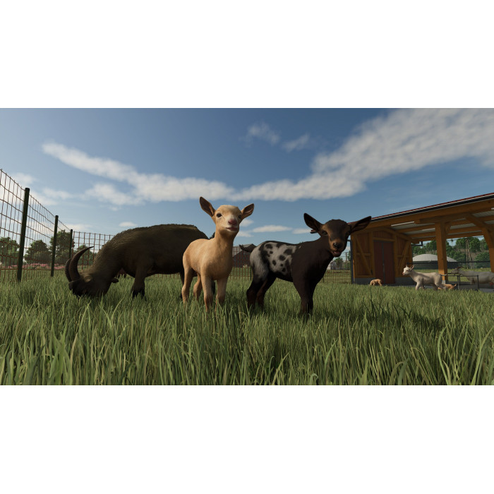 Farming Simulator 25 - Year 1 Bundle