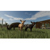 Farming Simulator 25 - Year 1 Bundle