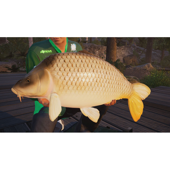 Fishing Sim World: Pro Tour + The Catch: Carp & Coarse