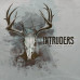 Intruders: Hide and Seek