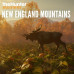 theHunter: Call of the Wild™ - New England Mountains