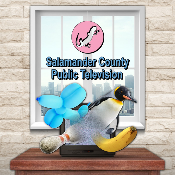 Salamander County Public Television