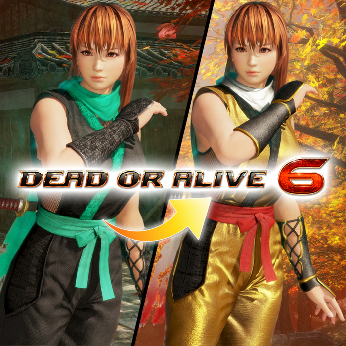 Костюм могучего ниндзя для DOA6 — Фазы 4