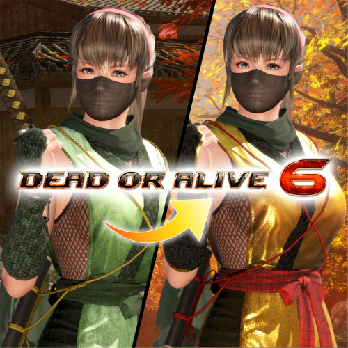 Костюм могучего ниндзя для DOA6 — Хитоми