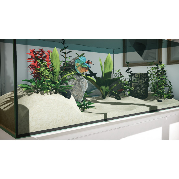 Aquarium in Cafe Aquarium in Cafe