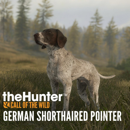 theHunter: Call of the Wild™ - German Shorthaired Pointer