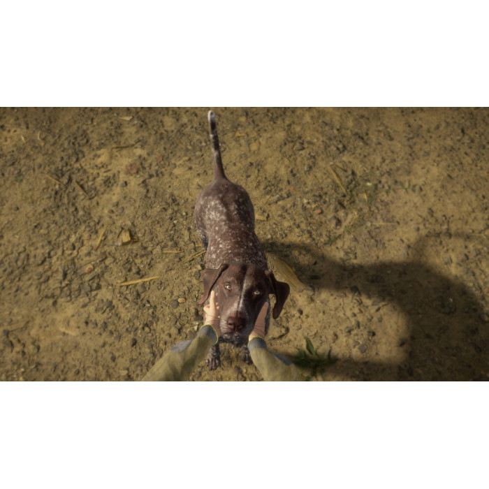 theHunter: Call of the Wild™ - German Shorthaired Pointer