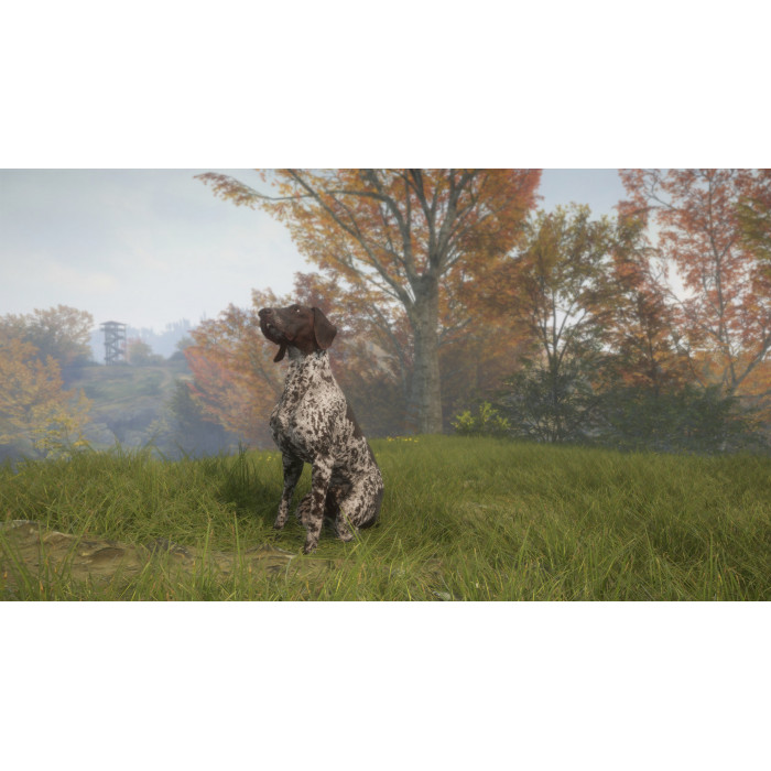 theHunter: Call of the Wild™ - German Shorthaired Pointer