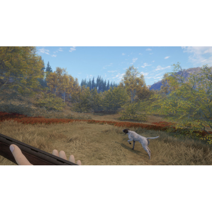 theHunter: Call of the Wild™ - German Shorthaired Pointer