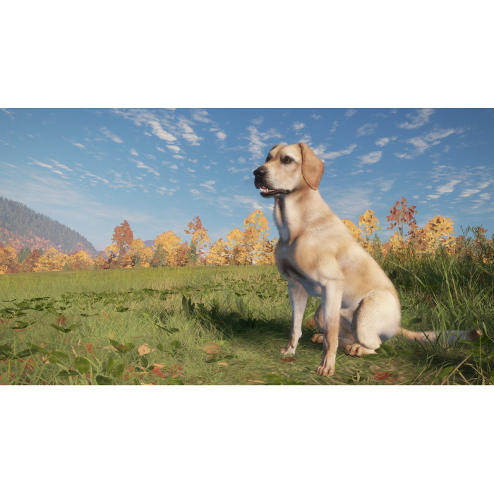 theHunter: Call of the Wild™ - Hunting Dog Bundle