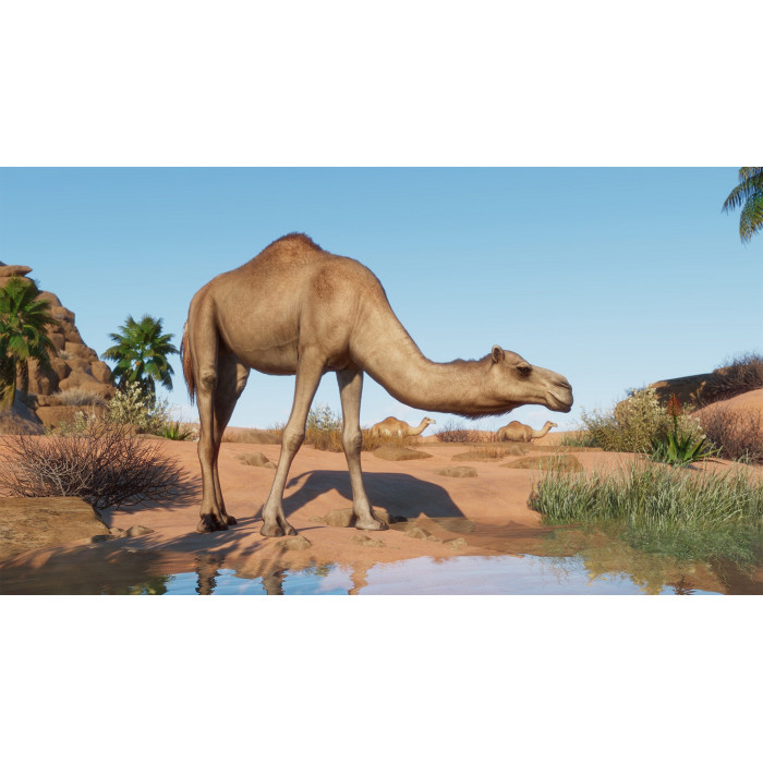 Planet Zoo: Arid & Tropical Bundle