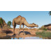 Planet Zoo: Arid & Tropical Bundle