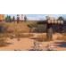 Planet Zoo: Arid & Tropical Bundle