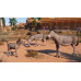 Planet Zoo: Arid & Tropical Bundle