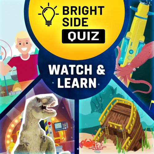 Bright Side: Quiz - Watch & Learn DLC