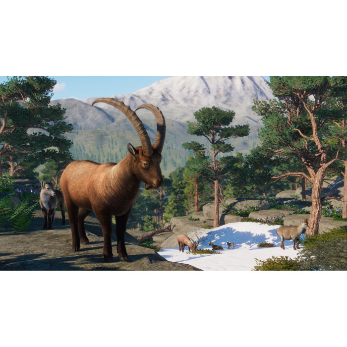 Planet Zoo: наборы «Северная Америка» и «Европа»