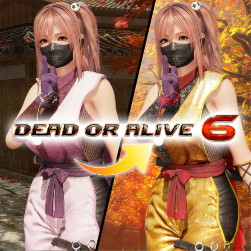 Костюм могучего ниндзя для DOA6 — Хоноки