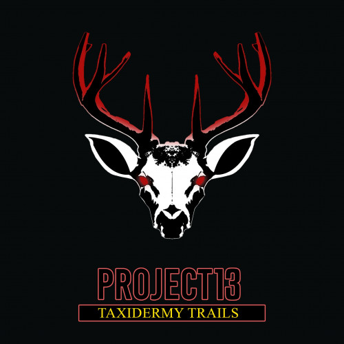 Project 13: Taxidermy