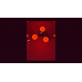 Minimalist Bundle