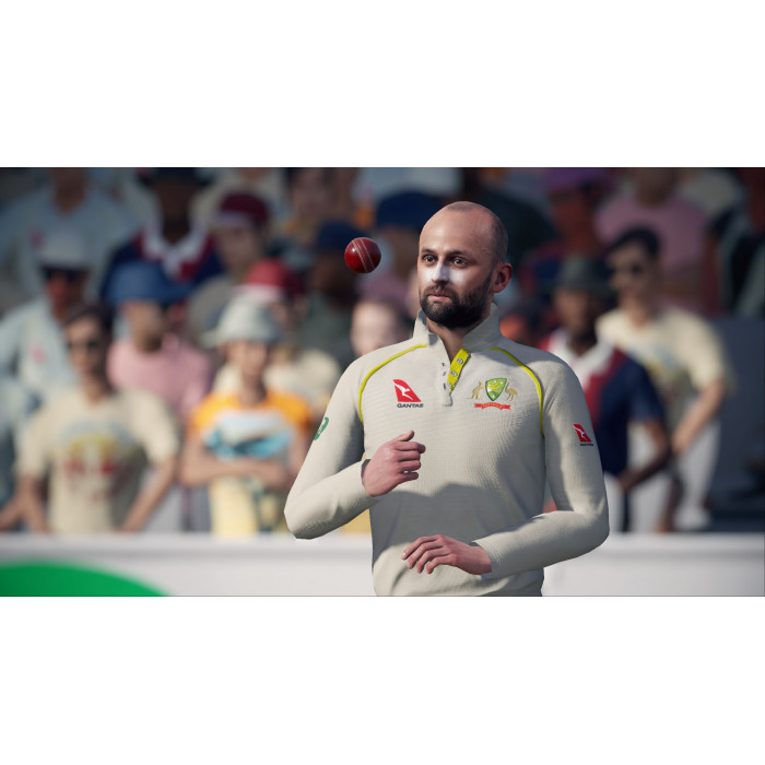 Cricket 19