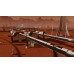 Surviving Mars - Martian Express