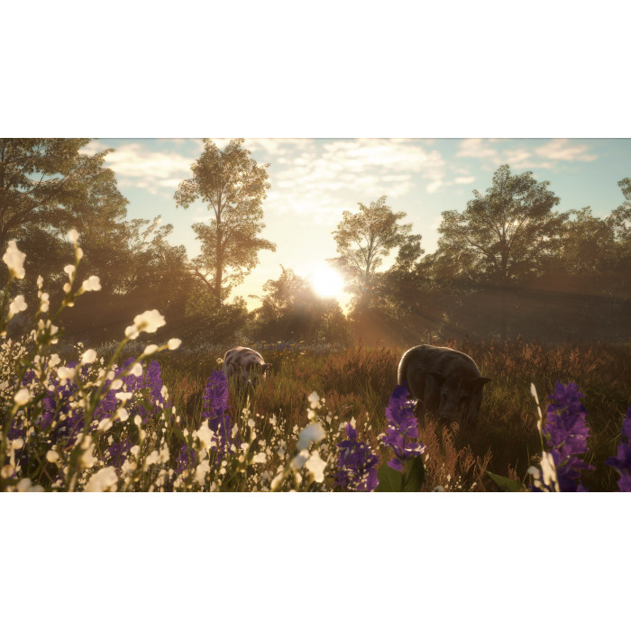 theHunter: Call of the Wild™ - Mississippi Acres Preserve