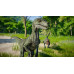 Jurassic World Evolution: Коллекция окрасов шкуры «Отряд рапторов»