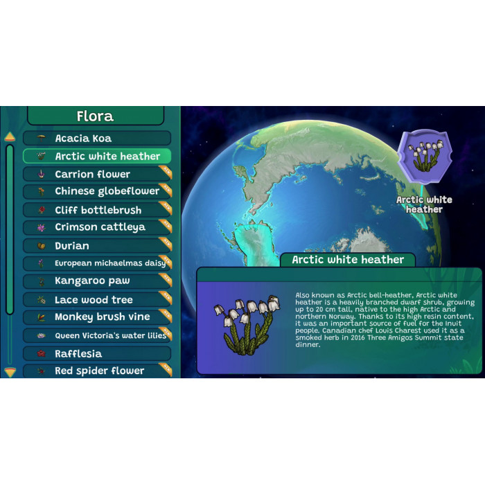 Planet Quiz: Forest Life DLC