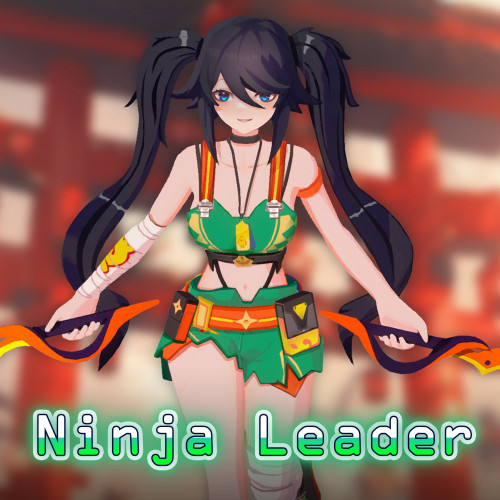 Ninja Leader