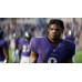 EA SPORTS™ Madden NFL 25