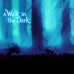 A Walk in the Dark